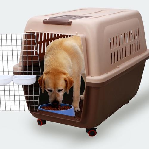 Portable Dog Crate With Handle For Small And Medium Dogs Bowl Included