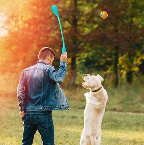 Ball Tossing Device Dog Throwing Ball Toy For Training Puppy Outdoor