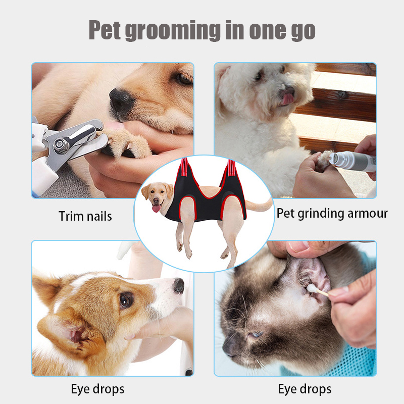 Dog Groomers Walk In Dog Nail Trim Near Me Dog Groomer Petsmart